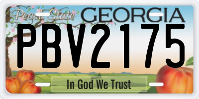 GA license plate PBV2175