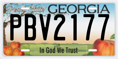 GA license plate PBV2177