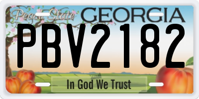GA license plate PBV2182
