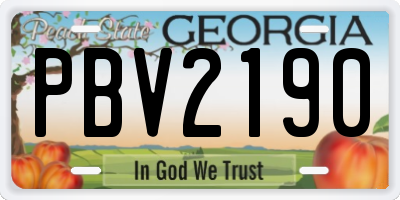GA license plate PBV2190