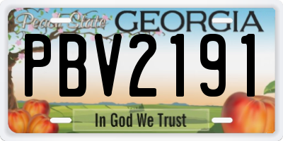 GA license plate PBV2191