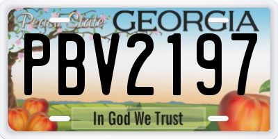 GA license plate PBV2197