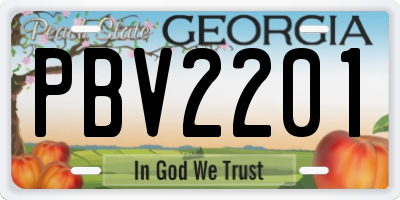 GA license plate PBV2201