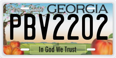 GA license plate PBV2202