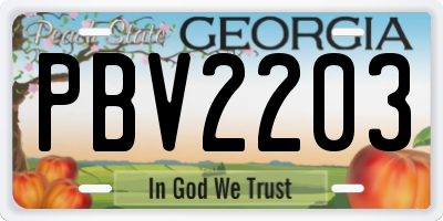GA license plate PBV2203