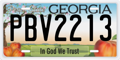 GA license plate PBV2213