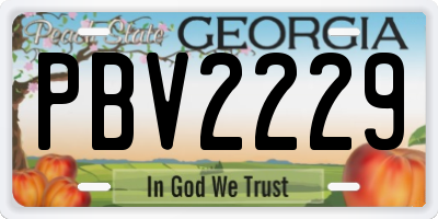 GA license plate PBV2229