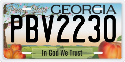 GA license plate PBV2230