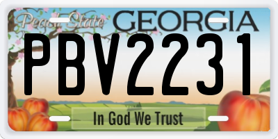 GA license plate PBV2231