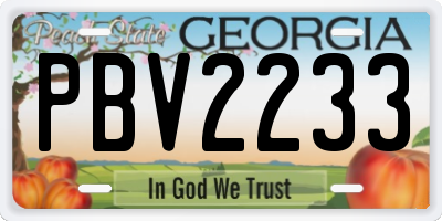 GA license plate PBV2233