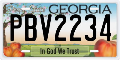 GA license plate PBV2234