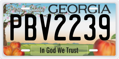 GA license plate PBV2239