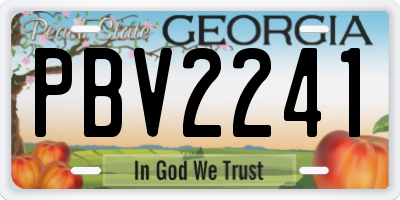 GA license plate PBV2241