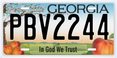 GA license plate PBV2244