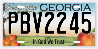 GA license plate PBV2245