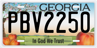 GA license plate PBV2250