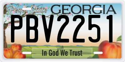 GA license plate PBV2251