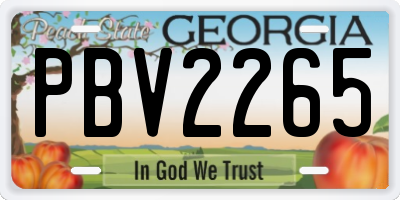 GA license plate PBV2265
