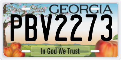 GA license plate PBV2273