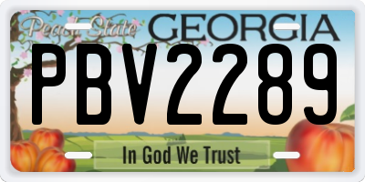 GA license plate PBV2289