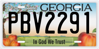 GA license plate PBV2291