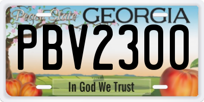 GA license plate PBV2300