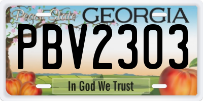 GA license plate PBV2303