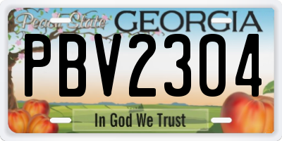 GA license plate PBV2304