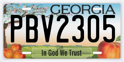 GA license plate PBV2305