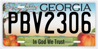 GA license plate PBV2306