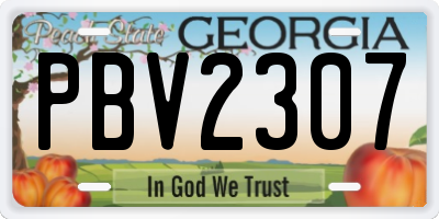 GA license plate PBV2307