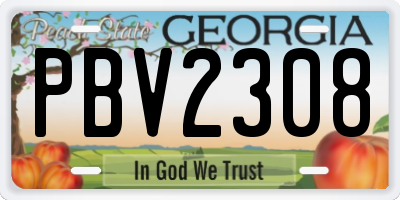 GA license plate PBV2308