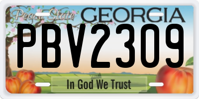 GA license plate PBV2309