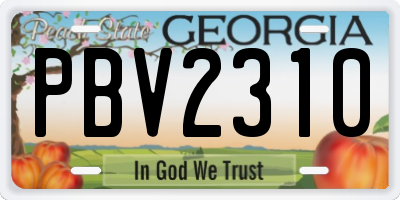 GA license plate PBV2310