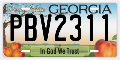 GA license plate PBV2311