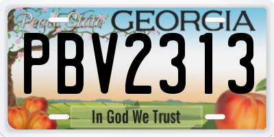 GA license plate PBV2313