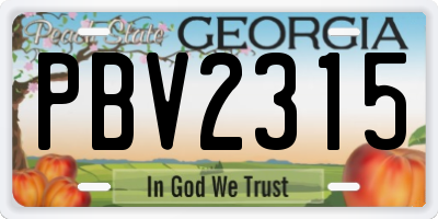 GA license plate PBV2315