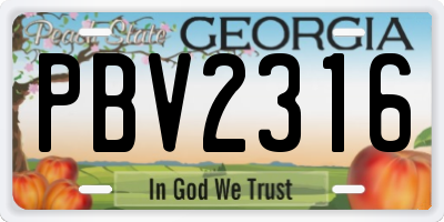GA license plate PBV2316