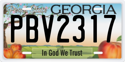 GA license plate PBV2317