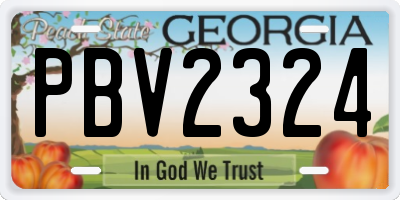 GA license plate PBV2324
