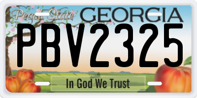 GA license plate PBV2325