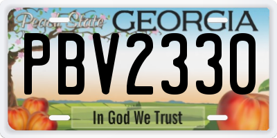 GA license plate PBV2330
