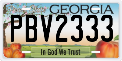 GA license plate PBV2333