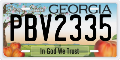 GA license plate PBV2335