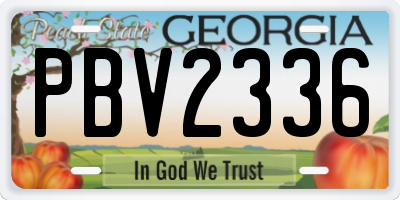 GA license plate PBV2336