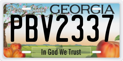 GA license plate PBV2337