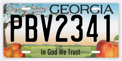 GA license plate PBV2341