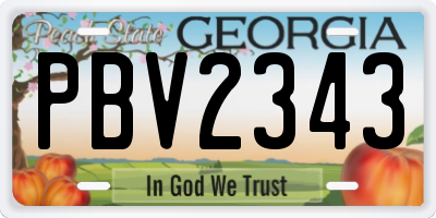 GA license plate PBV2343
