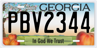 GA license plate PBV2344