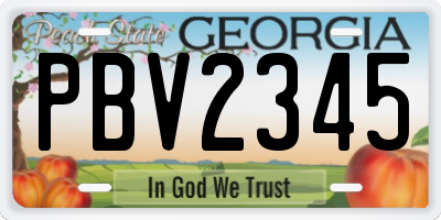 GA license plate PBV2345